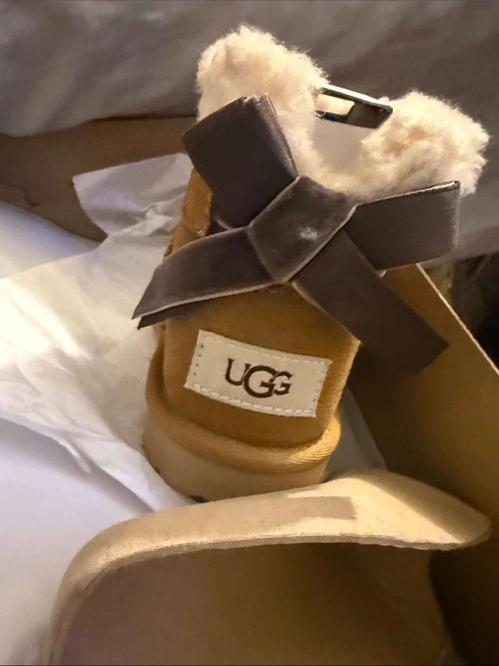 Ugg boot